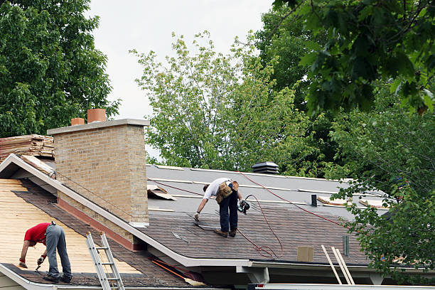 Quick and Trustworthy Emergency Roof Repair Services in Glen Ellyn, IL