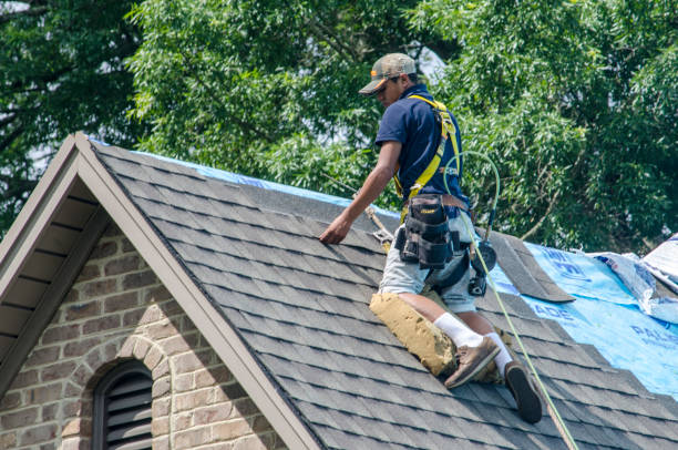 Best New Roof Installation  in Glen Ellyn, IL